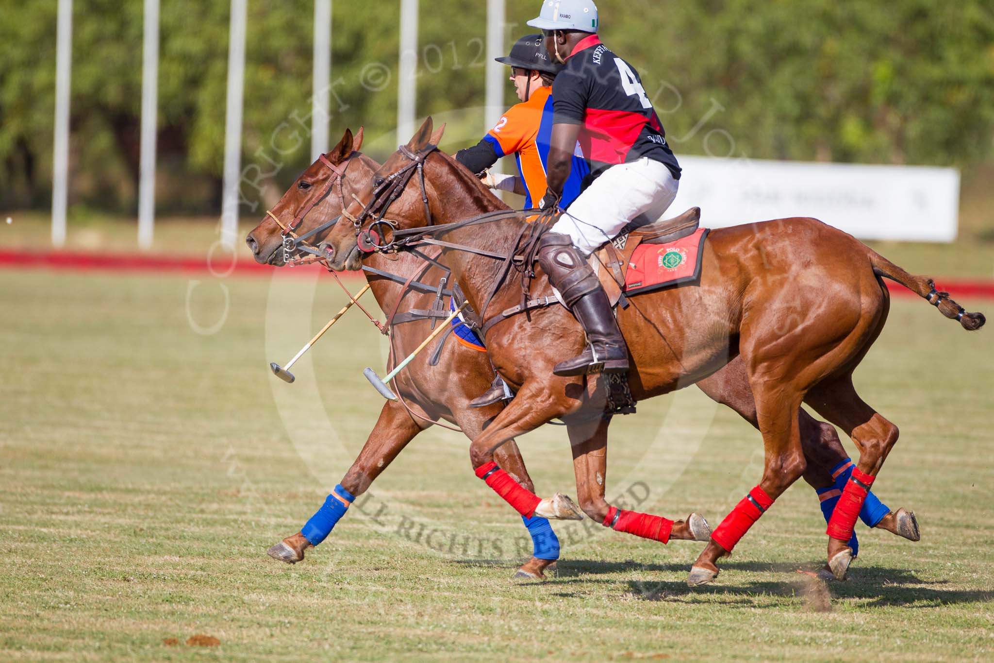 African Patrons Cup 2012 (Friday): Match Access Bank Fifth Chukker v Keffi Ponies: Pedro Fernandez Llorente and Ibrahim 'Rambo' Mohammed..
Fifth Chukker Polo & Country Club,
Kaduna,
Kaduna State,
Nigeria,
on 02 November 2012 at 15:40, image #26