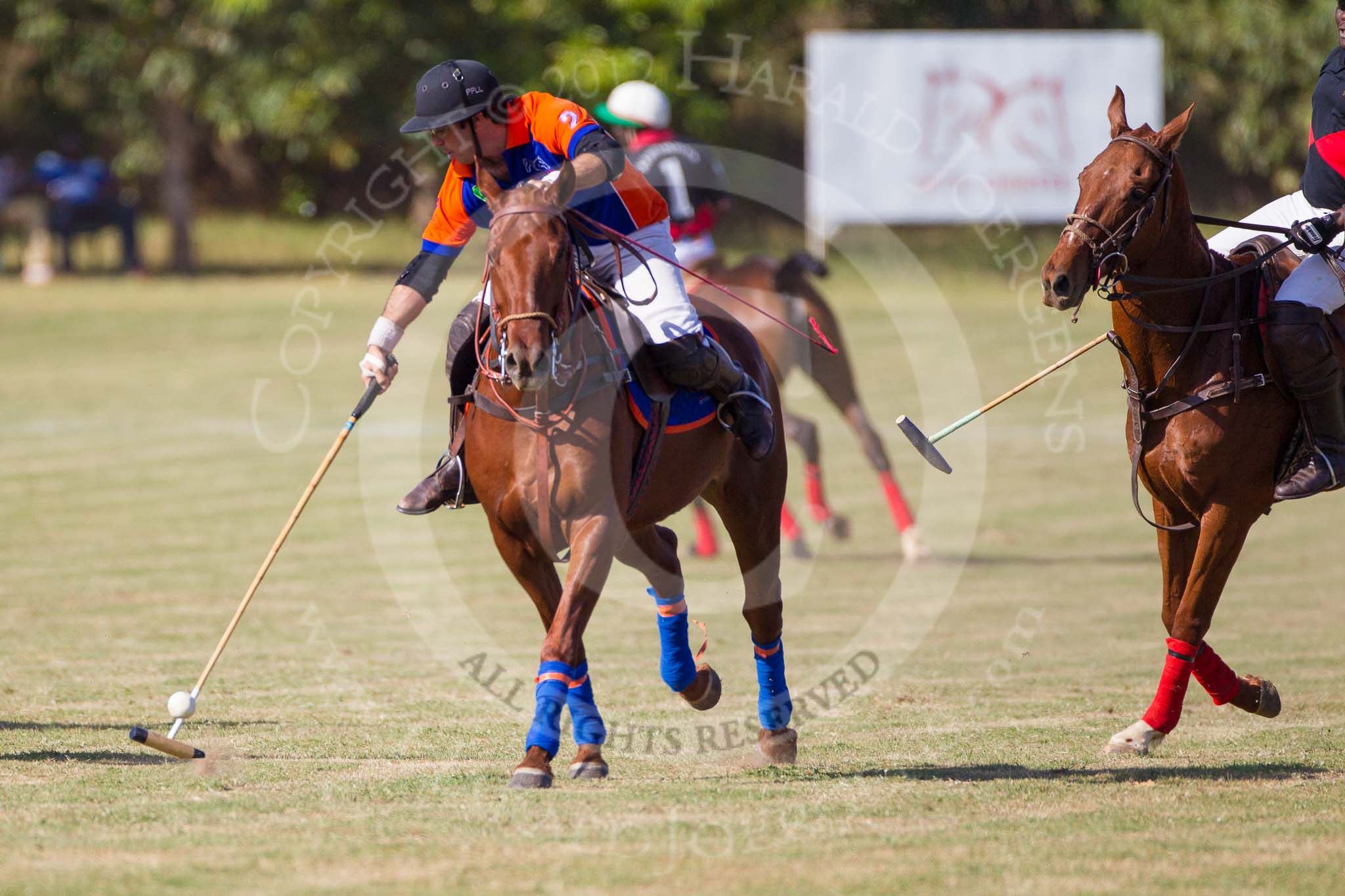 African Patrons Cup 2012 (Friday): Match Access Bank Fifth Chukker v Keffi Ponies: Pedro Fernandez Llorente and Ibrahim 'Rambo' Mohammed..
Fifth Chukker Polo & Country Club,
Kaduna,
Kaduna State,
Nigeria,
on 02 November 2012 at 15:40, image #27