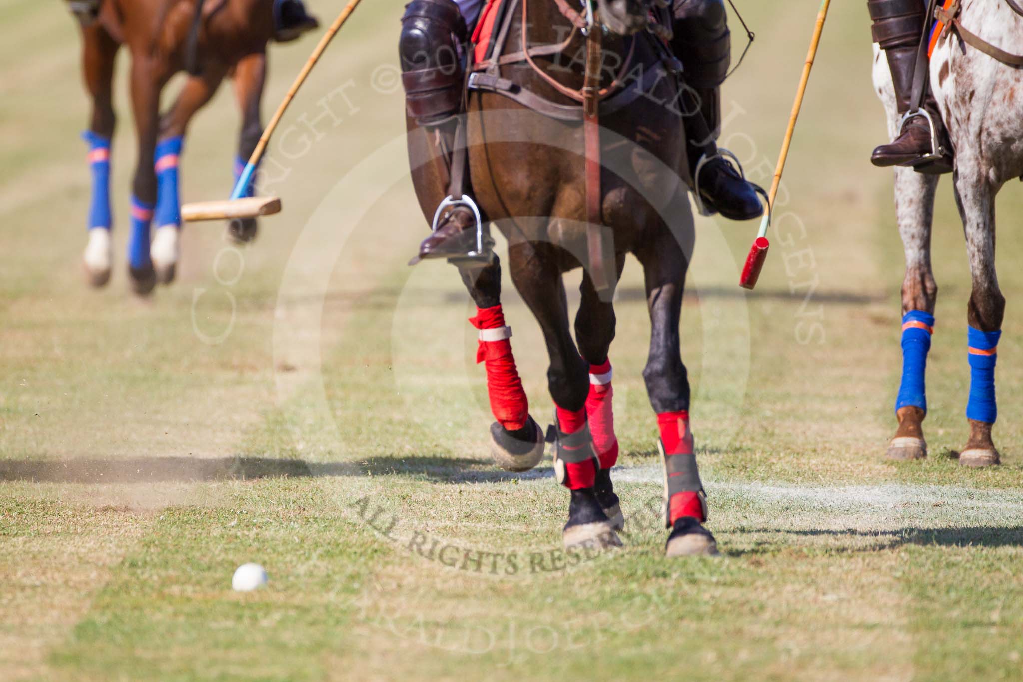 African Patrons Cup 2012 (Friday).
Fifth Chukker Polo & Country Club,
Kaduna,
Kaduna State,
Nigeria,
on 02 November 2012 at 15:42, image #33