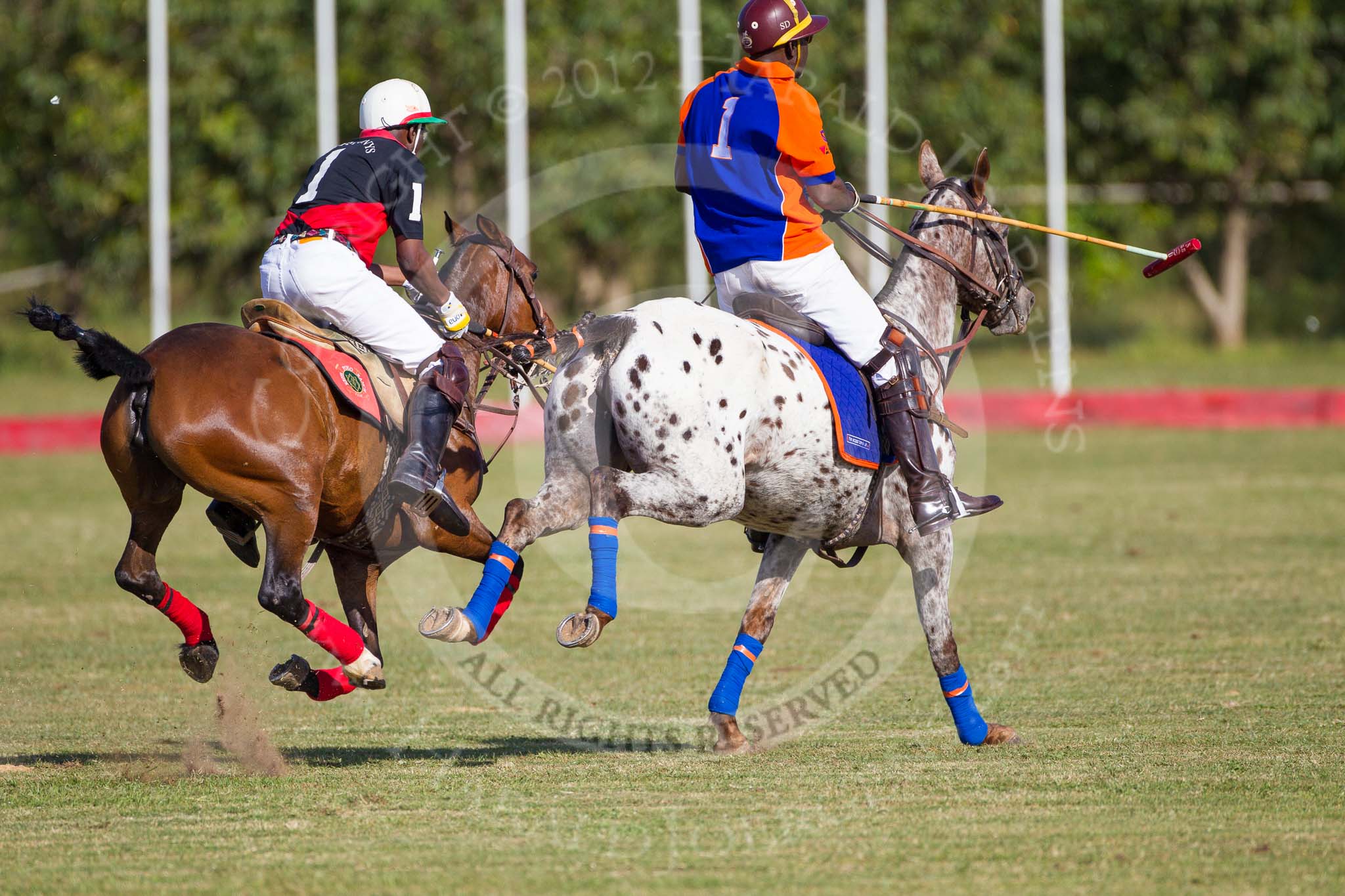 African Patrons Cup 2012 (Friday): Match Access Bank Fifth Chukker v Keffi Ponies: Hon. Ahmed Aliyu Wadada v Sayyu Dantata..
Fifth Chukker Polo & Country Club,
Kaduna,
Kaduna State,
Nigeria,
on 02 November 2012 at 15:42, image #34