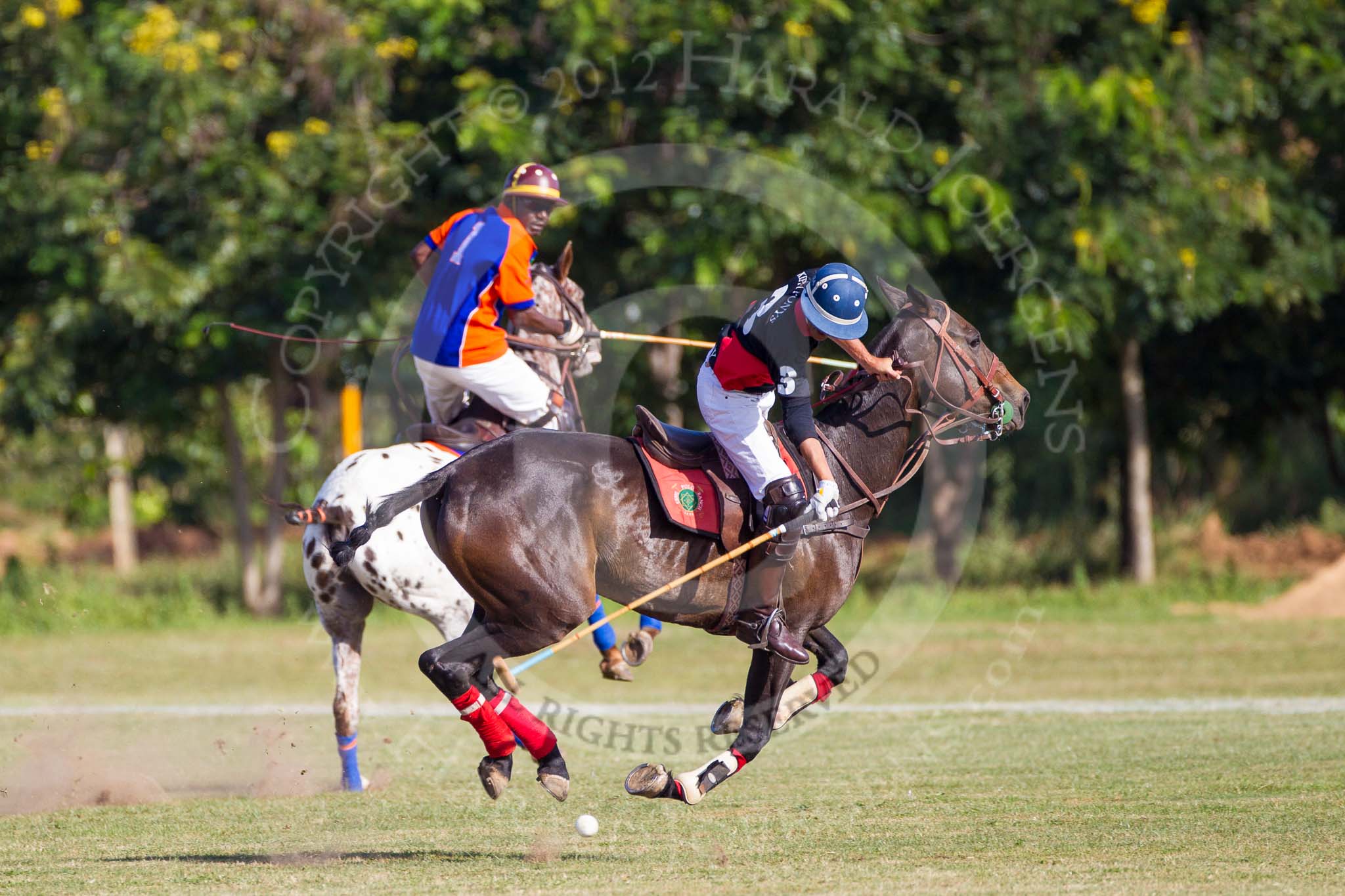 African Patrons Cup 2012 (Friday): Match Access Bank Fifth Chukker v Keffi Ponies: Sayyu Dantata v Pepe Araya..
Fifth Chukker Polo & Country Club,
Kaduna,
Kaduna State,
Nigeria,
on 02 November 2012 at 15:42, image #38