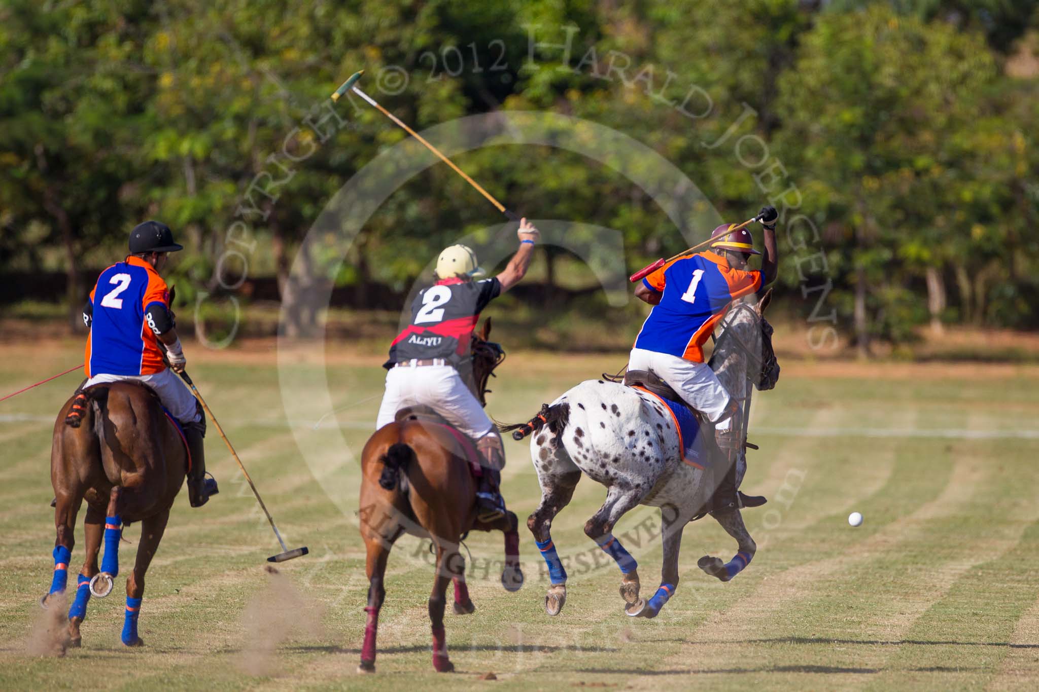 African Patrons Cup 2012 (Friday): Match Access Bank Fifth Chukker v Keffi Ponies: Pedro Fernandez Llorente,  Selby Williamson and Sayyu Dantata..
Fifth Chukker Polo & Country Club,
Kaduna,
Kaduna State,
Nigeria,
on 02 November 2012 at 15:47, image #44