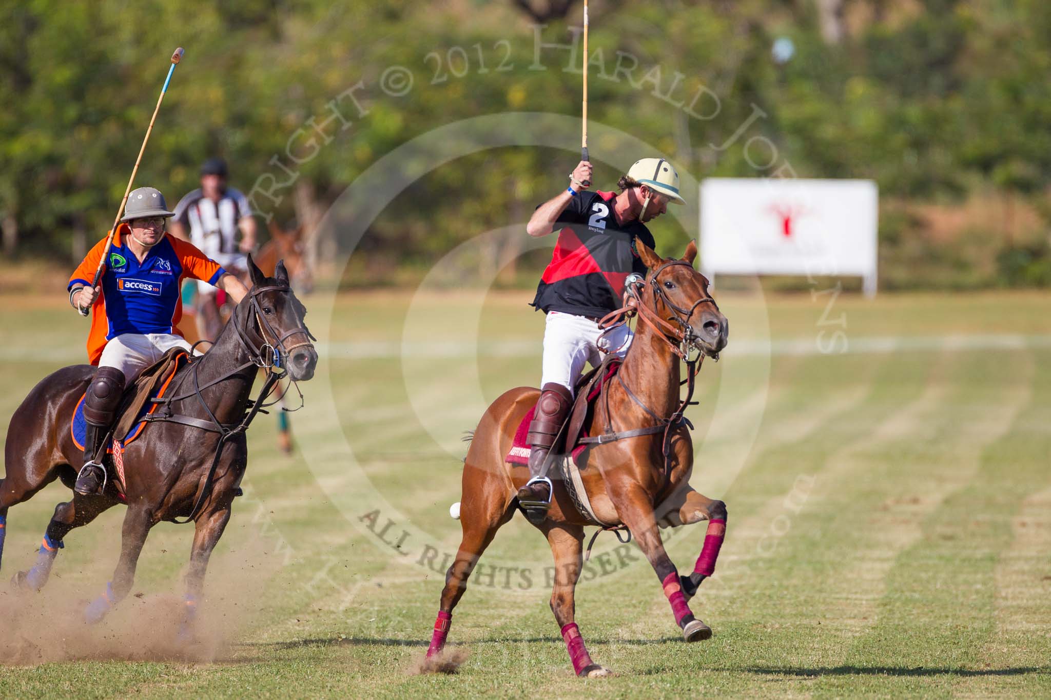 African Patrons Cup 2012 (Friday): Match Access Bank Fifth Chukker v Keffi Ponies: Ezequiel Martinez Ferrario v Selby Williamson..
Fifth Chukker Polo & Country Club,
Kaduna,
Kaduna State,
Nigeria,
on 02 November 2012 at 15:47, image #49