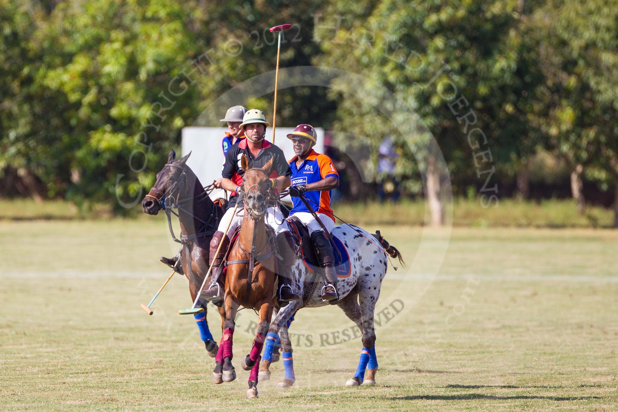 African Patrons Cup 2012 (Friday): Match Access Bank Fifth Chukker v Keffi Ponies:  Pedro Fernandez Llorente, Selby Williamson, and Sayyu Dantata..
Fifth Chukker Polo & Country Club,
Kaduna,
Kaduna State,
Nigeria,
on 02 November 2012 at 15:50, image #55