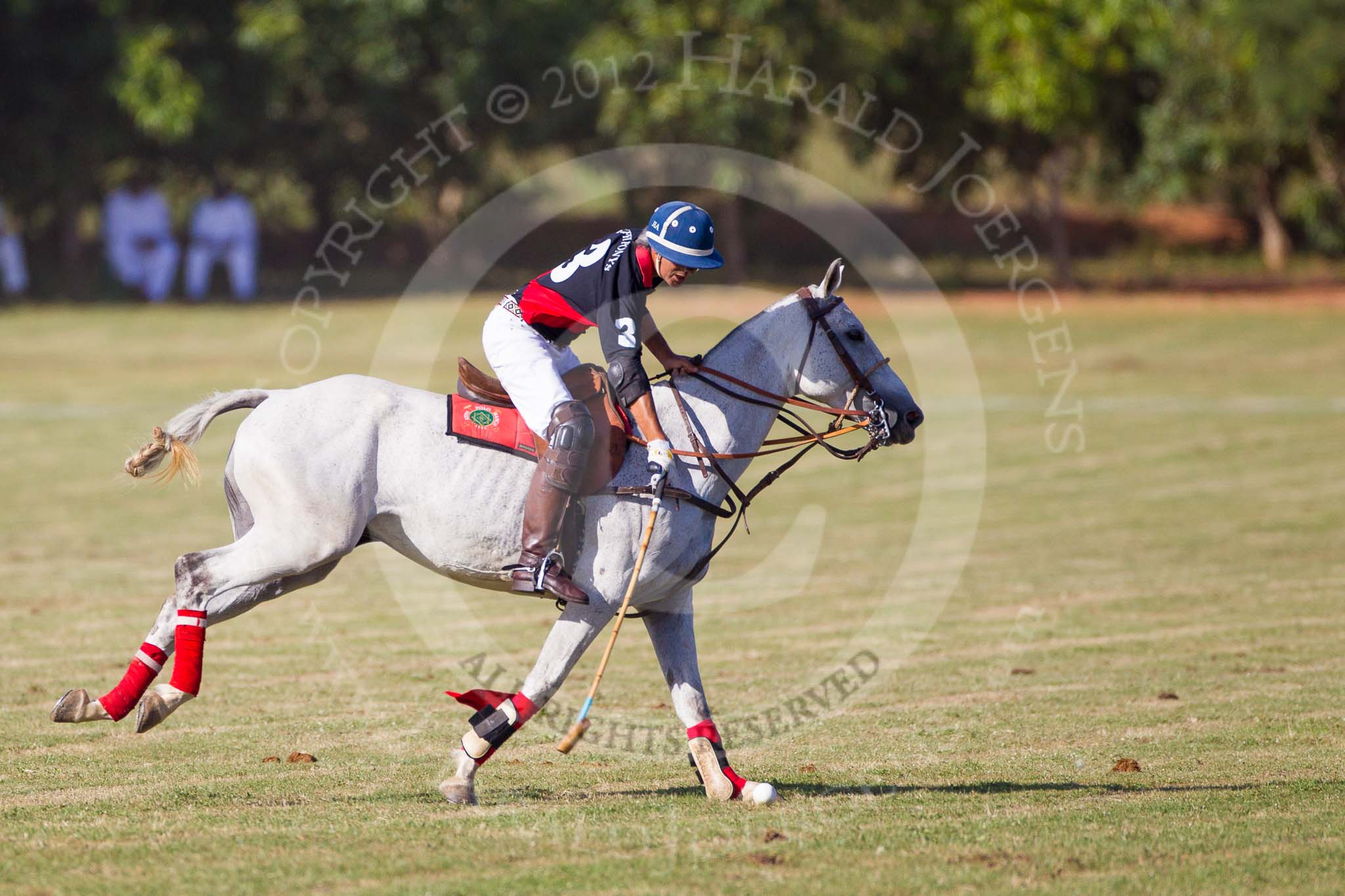 African Patrons Cup 2012 (Friday): Match Access Bank Fifth Chukker v Keffi Ponies:  Pepe Araya..
Fifth Chukker Polo & Country Club,
Kaduna,
Kaduna State,
Nigeria,
on 02 November 2012 at 15:50, image #56