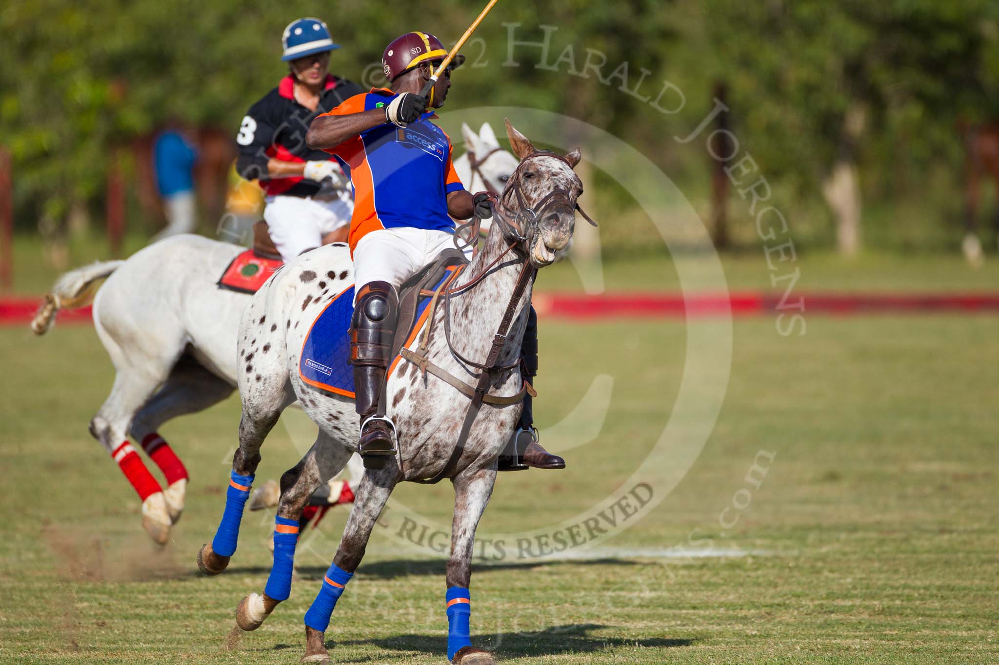 African Patrons Cup 2012 (Friday): Match Access Bank Fifth Chukker v Keffi Ponies:  Sayyu Dantata and Pepe Araya..
Fifth Chukker Polo & Country Club,
Kaduna,
Kaduna State,
Nigeria,
on 02 November 2012 at 15:51, image #60