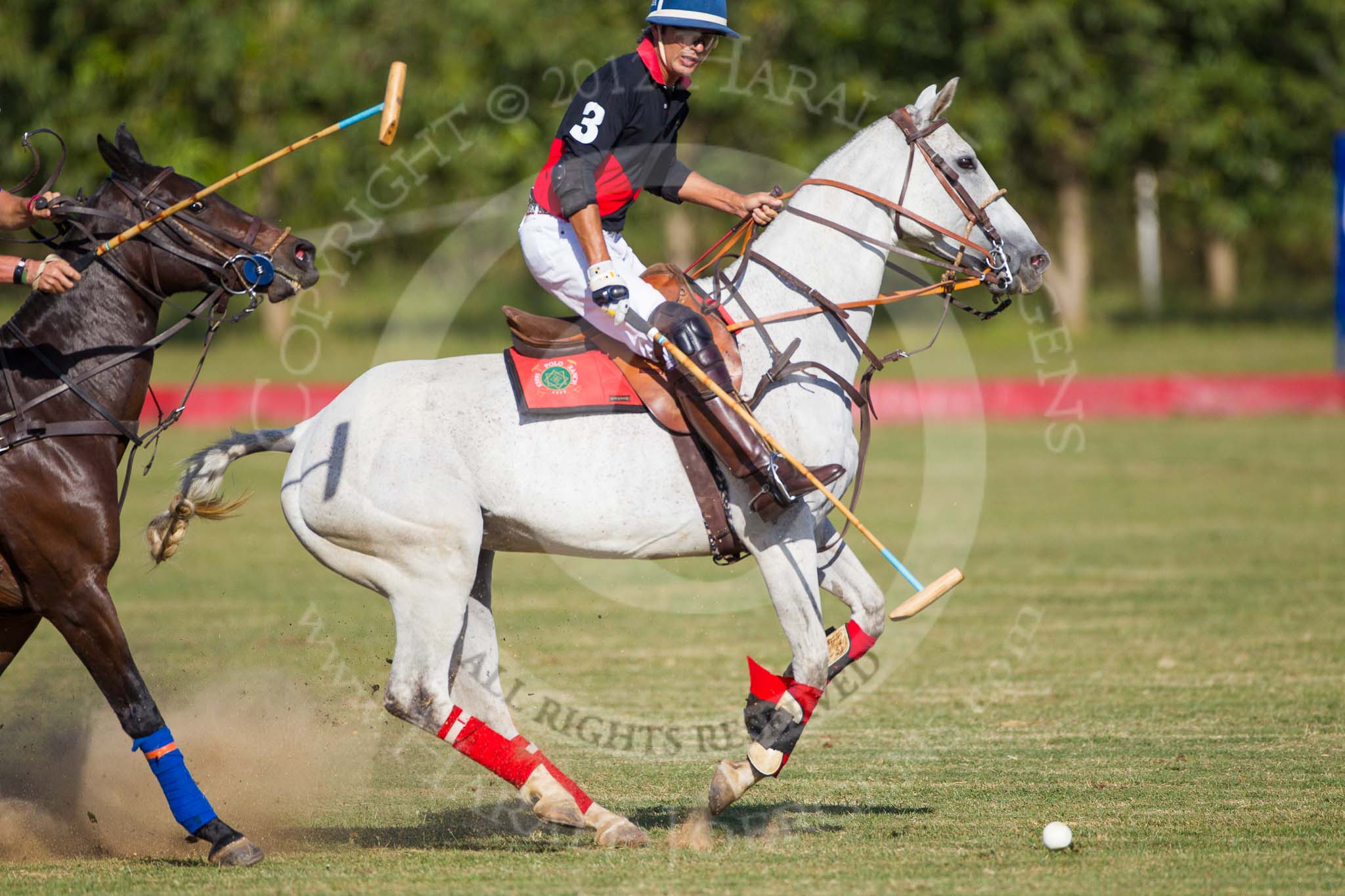 African Patrons Cup 2012 (Friday): Match Access Bank Fifth Chukker v Keffi Ponies:  Sayyu Dantata and Pepe Araya..
Fifth Chukker Polo & Country Club,
Kaduna,
Kaduna State,
Nigeria,
on 02 November 2012 at 15:51, image #61