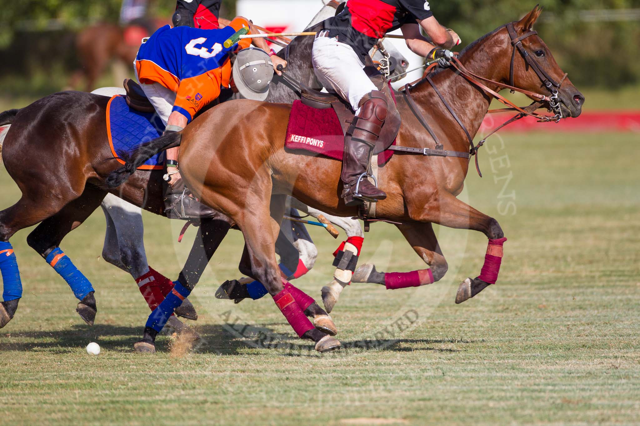 African Patrons Cup 2012 (Friday): Match Access Bank Fifth Chukker v Keffi Ponies:  Ezequiel Martinez Ferrario, Selby Williamson in the foreground, and Pepe Araya in the background..
Fifth Chukker Polo & Country Club,
Kaduna,
Kaduna State,
Nigeria,
on 02 November 2012 at 15:51, image #62