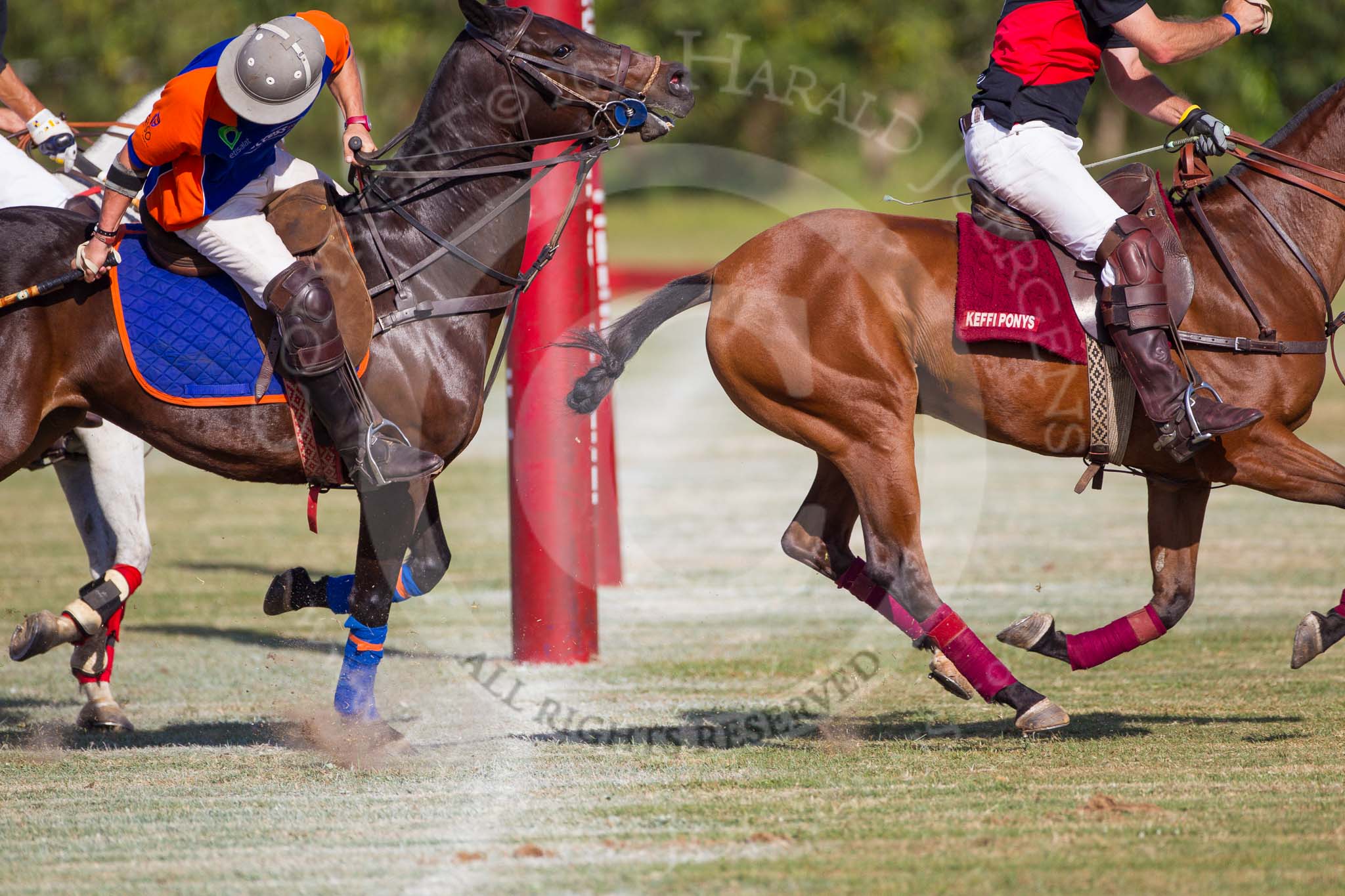 African Patrons Cup 2012 (Friday): Match Access Bank Fifth Chukker v Keffi Ponies:  Ezequiel Martinez Ferrario and Selby Williamson..
Fifth Chukker Polo & Country Club,
Kaduna,
Kaduna State,
Nigeria,
on 02 November 2012 at 15:51, image #63