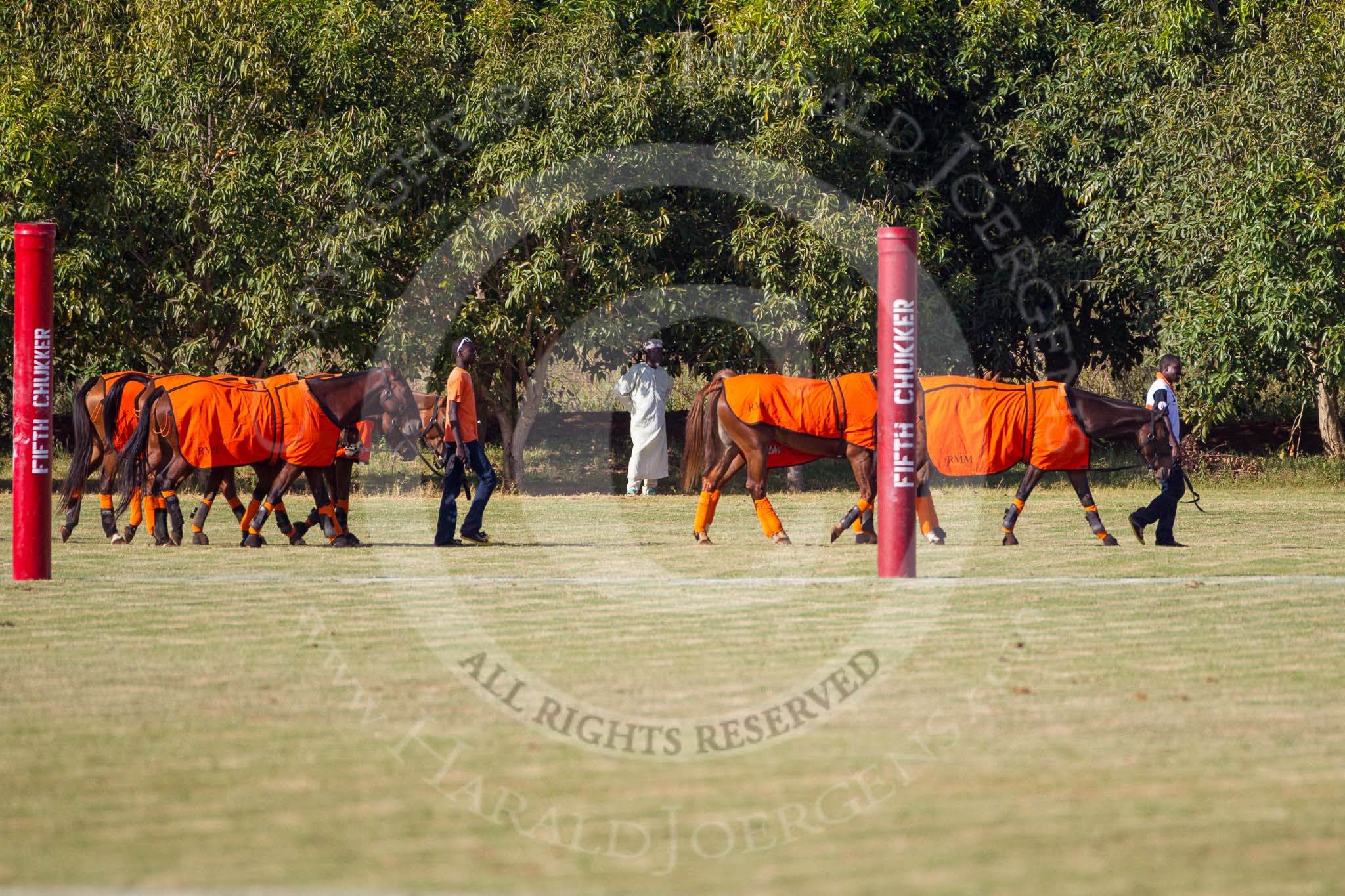 African Patrons Cup 2012 (Friday).
Fifth Chukker Polo & Country Club,
Kaduna,
Kaduna State,
Nigeria,
on 02 November 2012 at 15:54, image #66