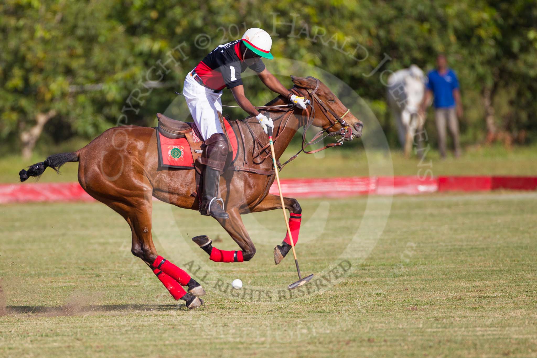 African Patrons Cup 2012 (Friday): Match Access Bank Fifth Chukker v Keffi Ponies:  Hon. Ahmed Aliyu Wadada..
Fifth Chukker Polo & Country Club,
Kaduna,
Kaduna State,
Nigeria,
on 02 November 2012 at 16:05, image #71