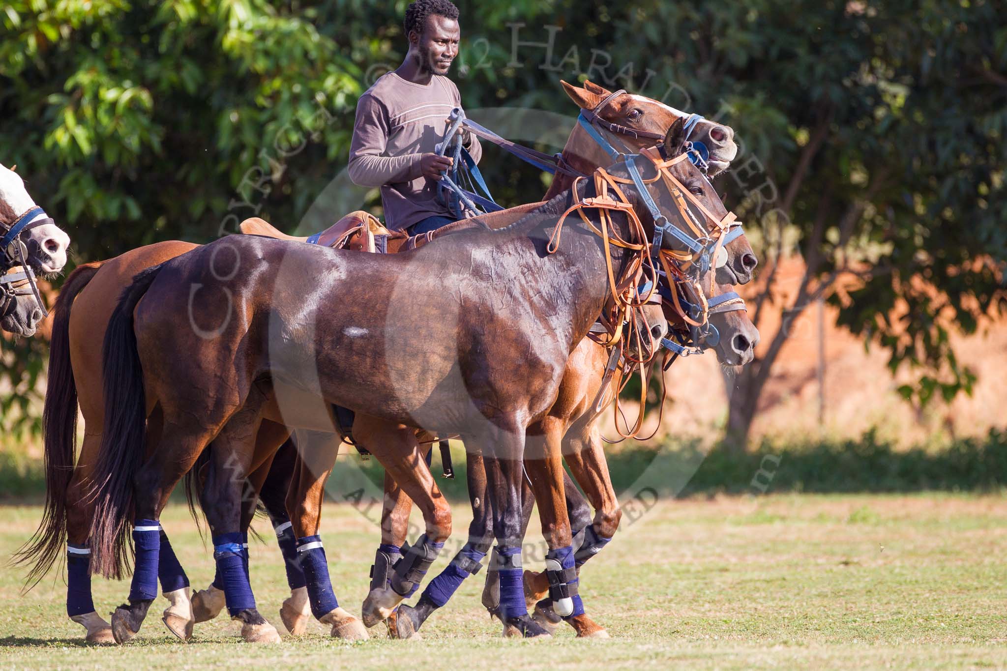 African Patrons Cup 2012 (Friday).
Fifth Chukker Polo & Country Club,
Kaduna,
Kaduna State,
Nigeria,
on 02 November 2012 at 16:06, image #73