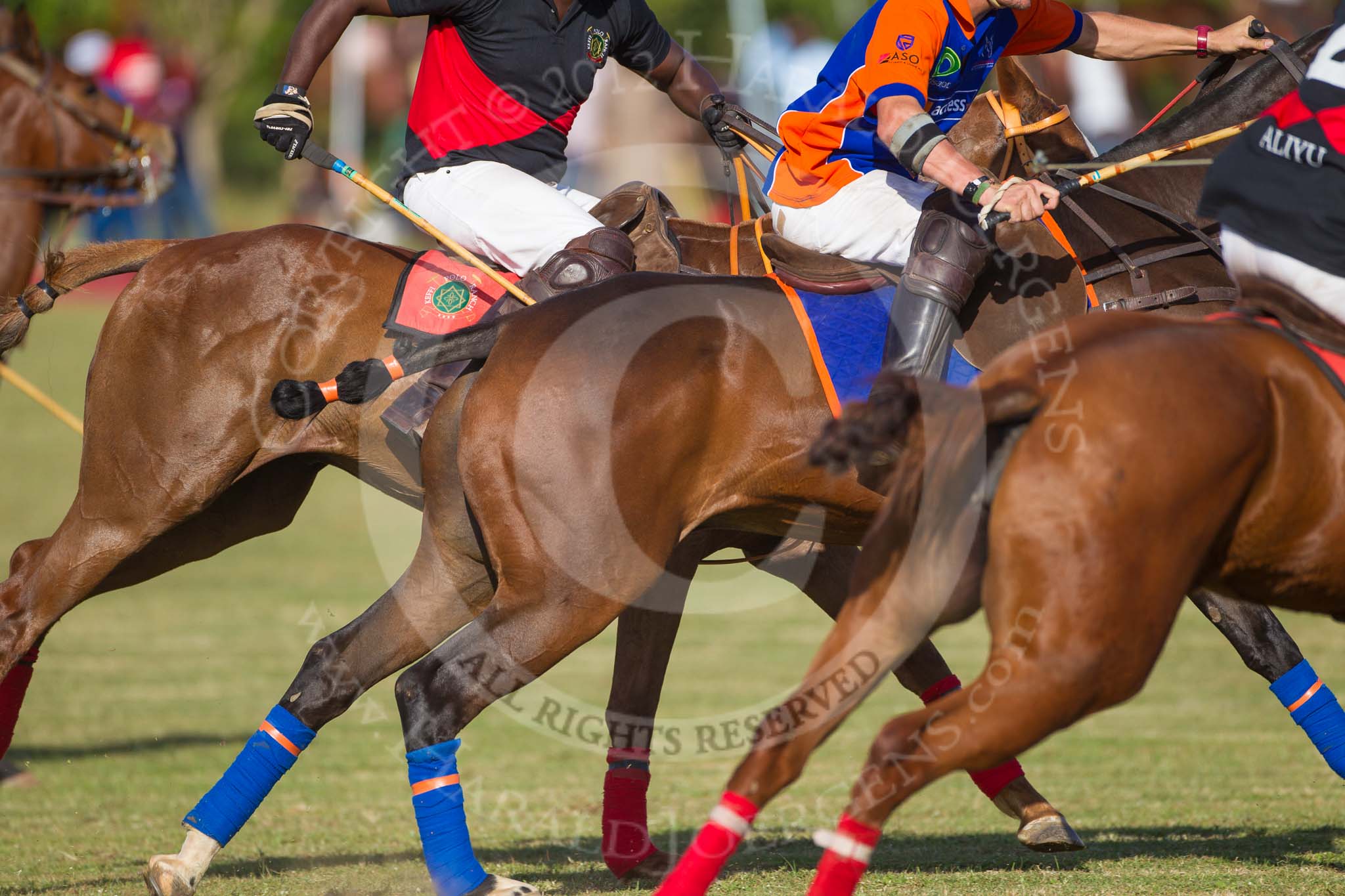 African Patrons Cup 2012 (Friday).
Fifth Chukker Polo & Country Club,
Kaduna,
Kaduna State,
Nigeria,
on 02 November 2012 at 16:07, image #75