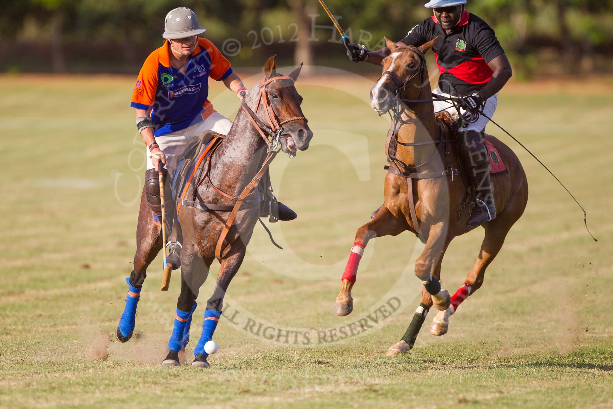 African Patrons Cup 2012 (Friday): Match Access Bank Fifth Chukker v Keffi Ponies: Ezequiel Martinez Ferrario v Ibrahim 'Rambo' Mohammed..
Fifth Chukker Polo & Country Club,
Kaduna,
Kaduna State,
Nigeria,
on 02 November 2012 at 16:46, image #85