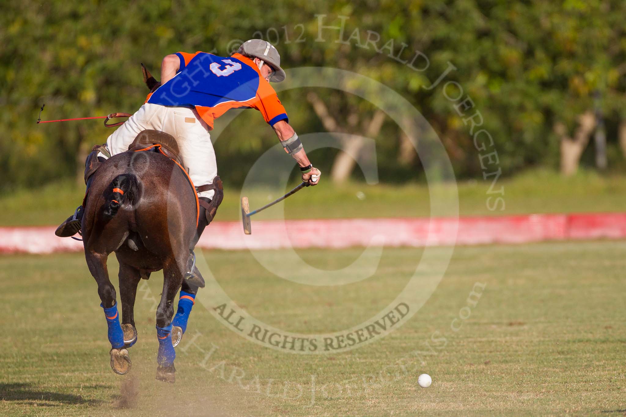 African Patrons Cup 2012 (Friday): Match Access Bank Fifth Chukker v Keffi Ponies: Ezequiel Martinez Ferrario..
Fifth Chukker Polo & Country Club,
Kaduna,
Kaduna State,
Nigeria,
on 02 November 2012 at 16:46, image #86