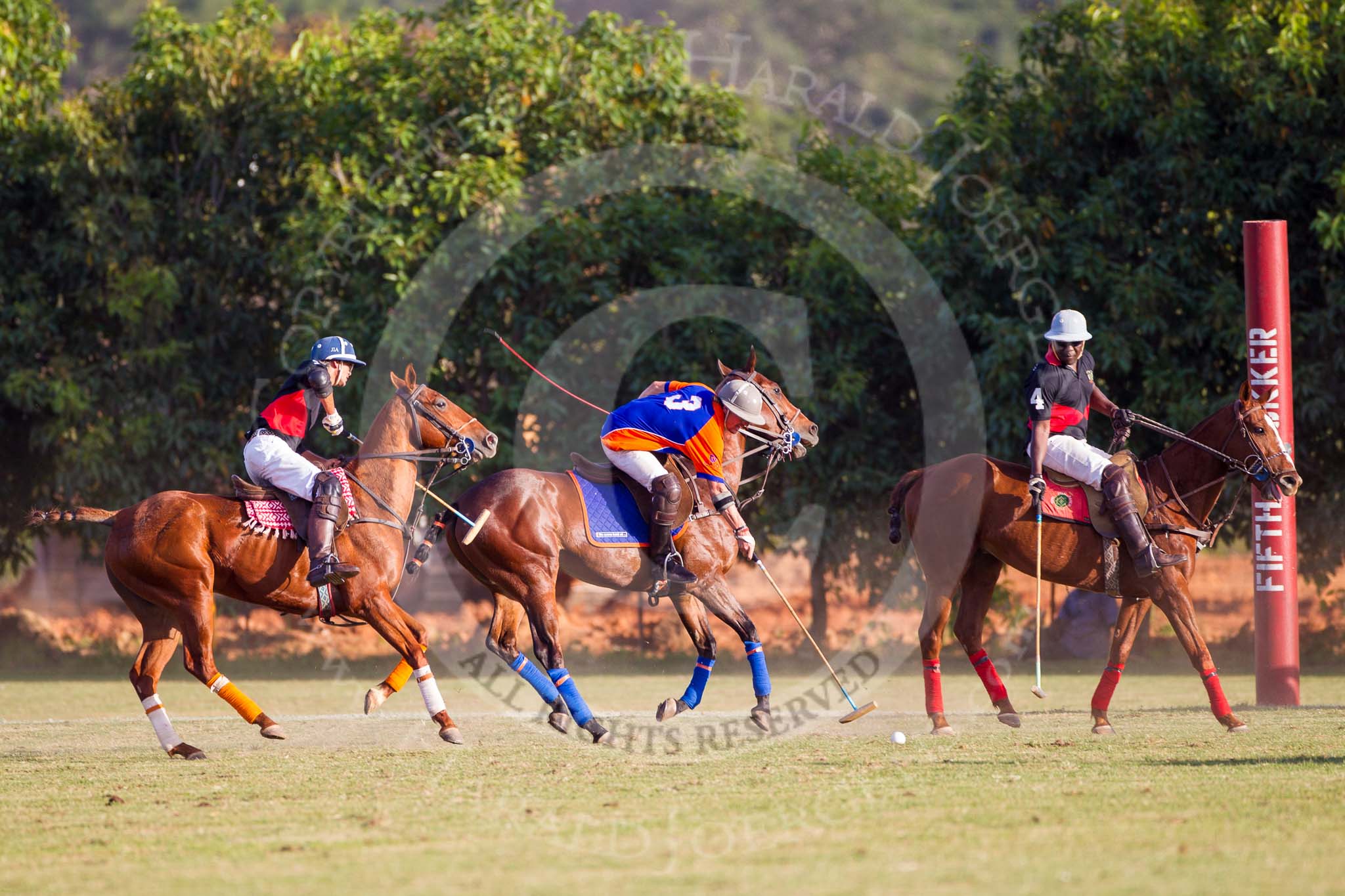 African Patrons Cup 2012 (Friday): Match Access Bank Fifth Chukker v Keffi Ponies: Pepe Araya, Ezequiel Martinez Ferrario, and Ibrahim 'Rambo' Mohammed..
Fifth Chukker Polo & Country Club,
Kaduna,
Kaduna State,
Nigeria,
on 02 November 2012 at 16:50, image #87