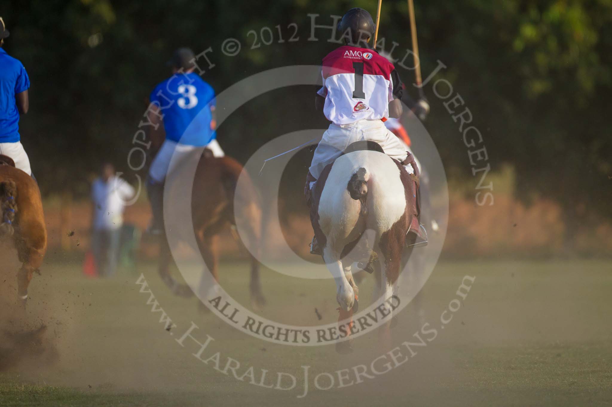 African Patrons Cup 2012 (Friday).
Fifth Chukker Polo & Country Club,
Kaduna,
Kaduna State,
Nigeria,
on 02 November 2012 at 17:11, image #92