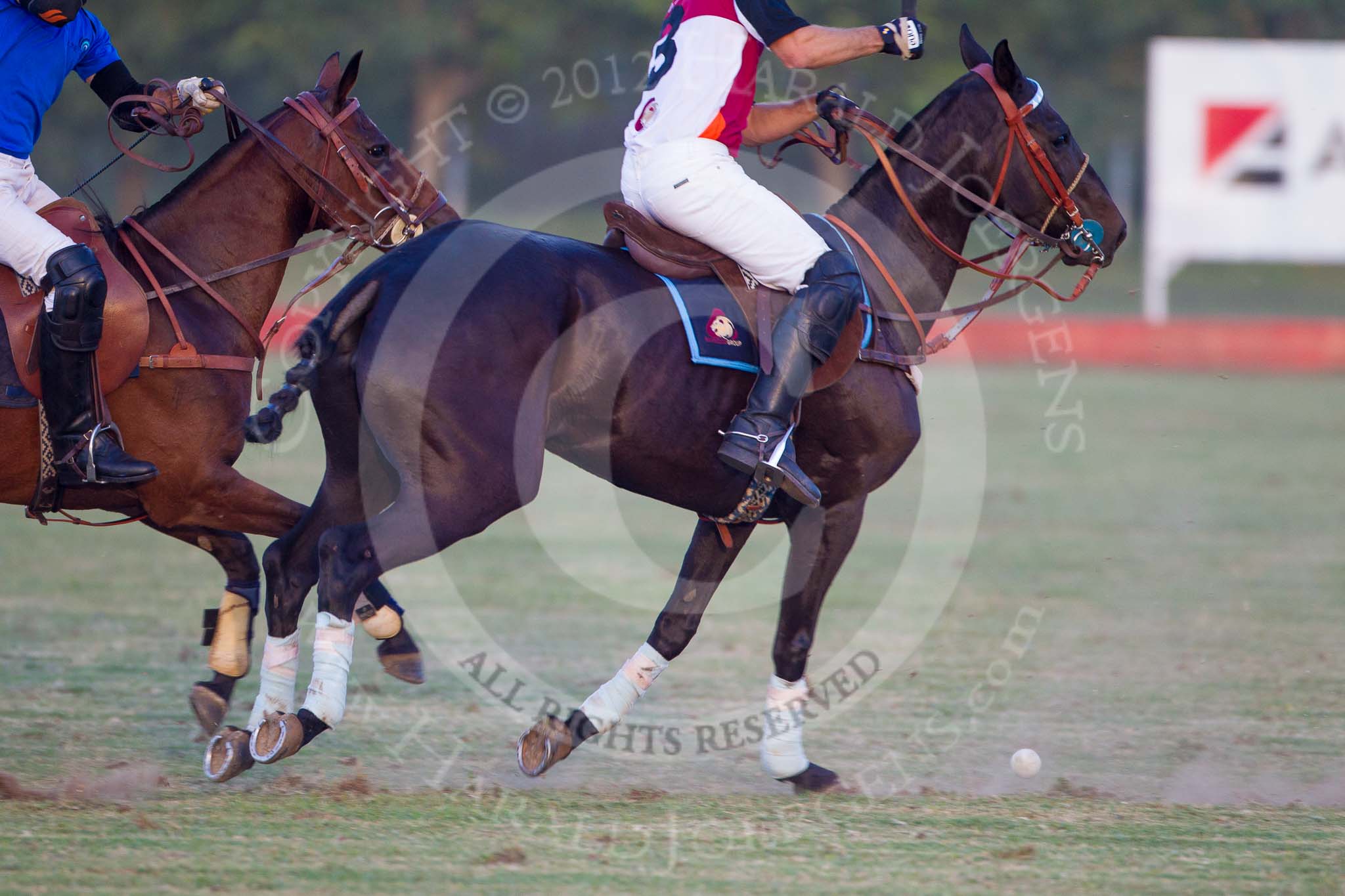 African Patrons Cup 2012 (Friday).
Fifth Chukker Polo & Country Club,
Kaduna,
Kaduna State,
Nigeria,
on 02 November 2012 at 17:35, image #108