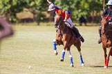 African Patrons Cup 2012 (Friday): Match Access Bank Fifth Chukker v Keffi Ponies: Ezequiel Martinez Ferrario v Ibrahim 'Rambo' Mohammed..
Fifth Chukker Polo & Country Club,
Kaduna,
Kaduna State,
Nigeria,
on 02 November 2012 at 15:37, image #10