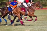 African Patrons Cup 2012 (Friday): Match Access Bank Fifth Chukker v Keffi Ponies:  Ezequiel Martinez Ferrario, Selby Williamson in the foreground, and Pepe Araya in the background..
Fifth Chukker Polo & Country Club,
Kaduna,
Kaduna State,
Nigeria,
on 02 November 2012 at 15:51, image #62