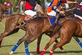African Patrons Cup 2012 (Friday).
Fifth Chukker Polo & Country Club,
Kaduna,
Kaduna State,
Nigeria,
on 02 November 2012 at 16:07, image #75