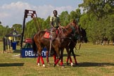 African Patrons Cup 2012, Semi-Finals.
Fifth Chukker Polo & Country Club,
Kaduna,
Kaduna State,
Nigeria,
on 03 November 2012 at 15:12, image #3