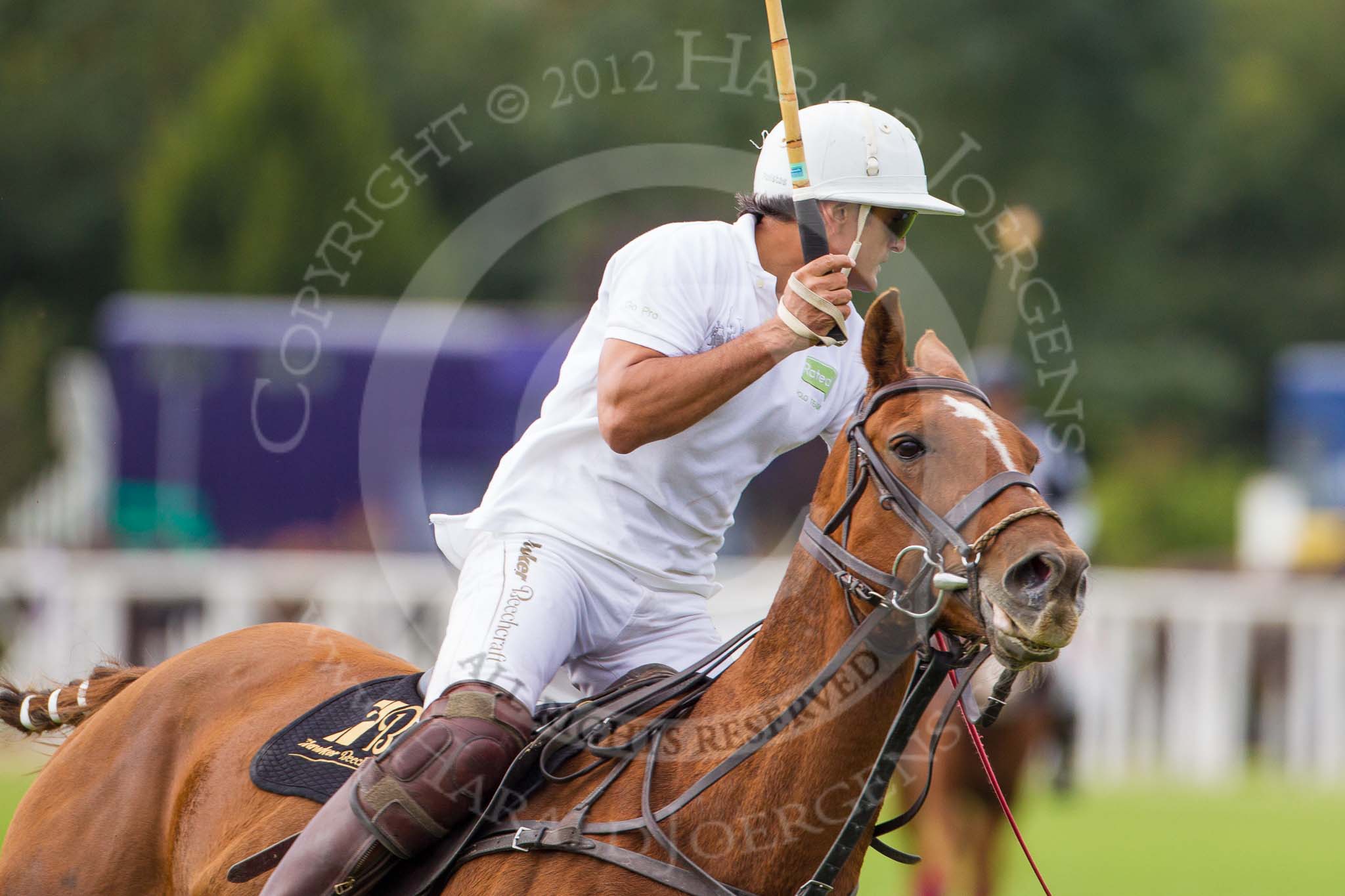 DBPC Polo in the Park 2012: Rated People Polo Team #2, Tariq Dag Khan..
Dallas Burston Polo Club,
Stoneythorpe Estate,
Southam,
Warwickshire,
United Kingdom,
on 16 September 2012 at 11:14, image #81