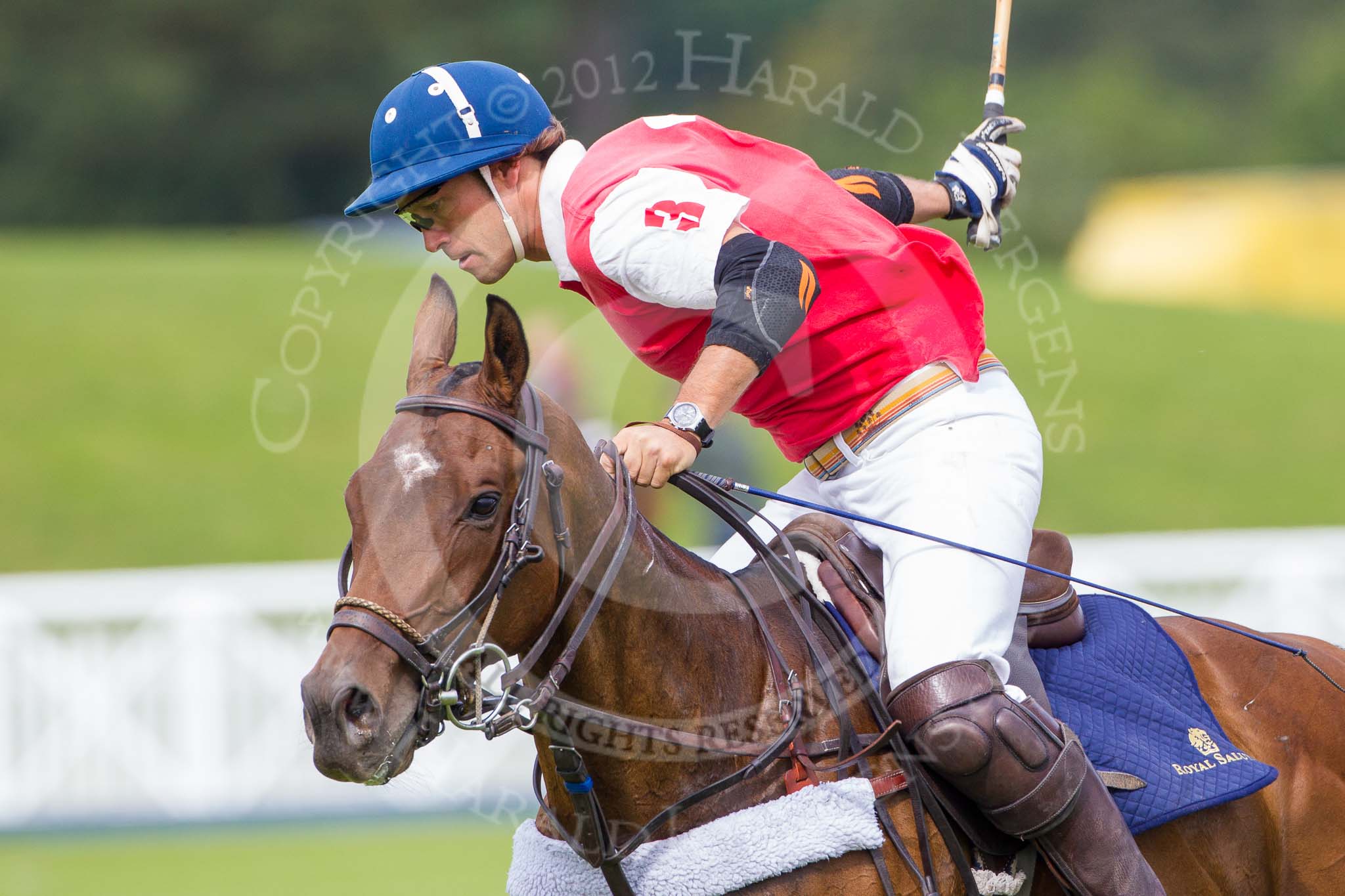 DBPC Polo in the Park 2012: Phoenix Polo Team #3, Tomy Iriarte..
Dallas Burston Polo Club,
Stoneythorpe Estate,
Southam,
Warwickshire,
United Kingdom,
on 16 September 2012 at 11:49, image #104