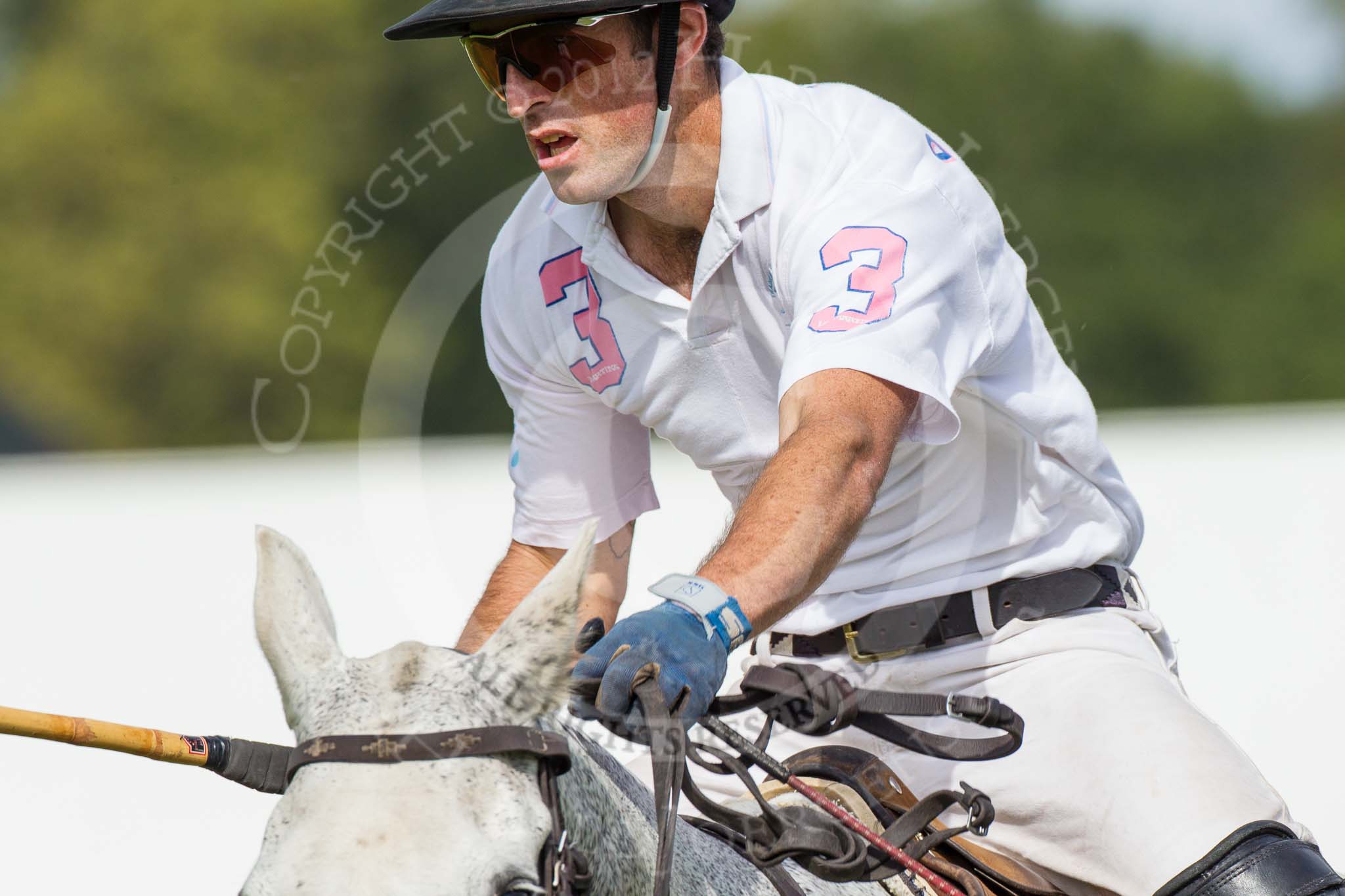 DBPC Polo in the Park 2012: Dawson Group Polo Team #3, Michael Henderson..
Dallas Burston Polo Club,
Stoneythorpe Estate,
Southam,
Warwickshire,
United Kingdom,
on 16 September 2012 at 13:18, image #144