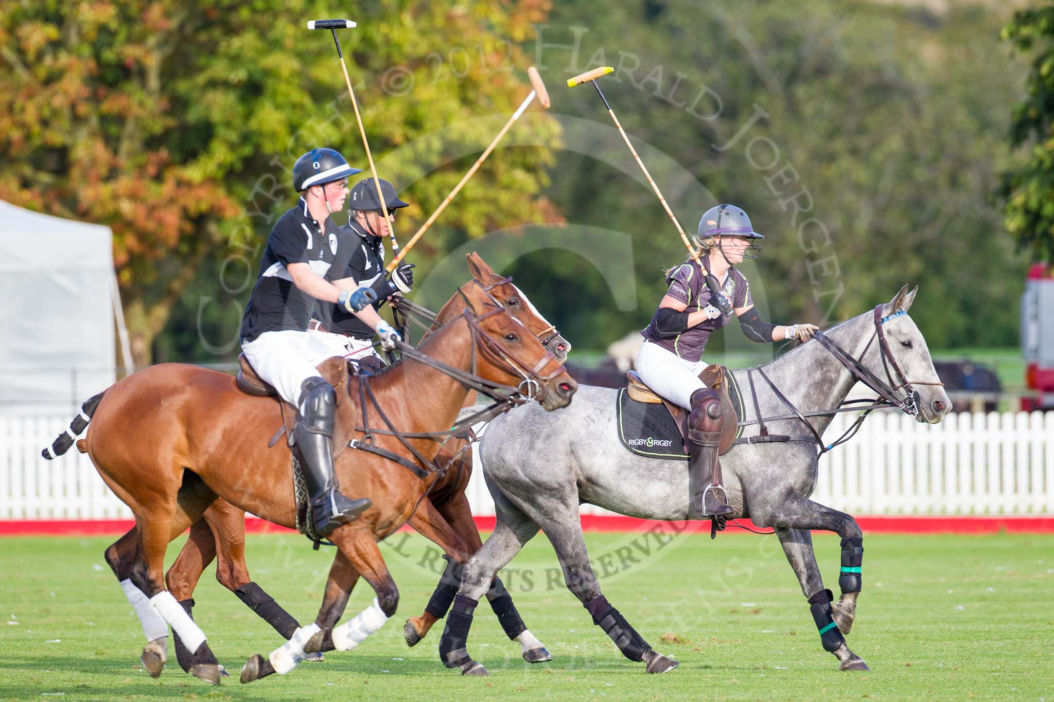 Photo 1209161725161D47076HaraldJoergens DBPC Polo in the Park 2012: La Golondrina #1, Hugo Davis, and #2, Paul Oberschneider, chasing Rigby & Rigby #1, Jenny Rigby..
Dallas Burston Polo Club,
Stoneythorpe Estate,
Southam,
Warwickshire,
United Kingdom,
on 16 September 2012 at 17:25, image #276