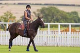 DBPC Polo in the Park 2012: Getting ready for the first match - groom and pony..
Dallas Burston Polo Club,
Stoneythorpe Estate,
Southam,
Warwickshire,
United Kingdom,
on 16 September 2012 at 10:01, image #23