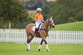 DBPC Polo in the Park 2012: Getting ready for the first match - Jane Kang, Kangaroos team..
Dallas Burston Polo Club,
Stoneythorpe Estate,
Southam,
Warwickshire,
United Kingdom,
on 16 September 2012 at 10:06, image #27