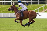 DBPC Polo in the Park 2012: Dawson Group Polo Team #4, David Ashby..
Dallas Burston Polo Club,
Stoneythorpe Estate,
Southam,
Warwickshire,
United Kingdom,
on 16 September 2012 at 13:36, image #151