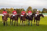 DBPC Polo in the Park 2012: Will Wood, Mark Weller, Captain William Mawby, Major Robert Skeggs, and umpire Barbara Zingg..
Dallas Burston Polo Club,
Stoneythorpe Estate,
Southam,
Warwickshire,
United Kingdom,
on 16 September 2012 at 18:15, image #318