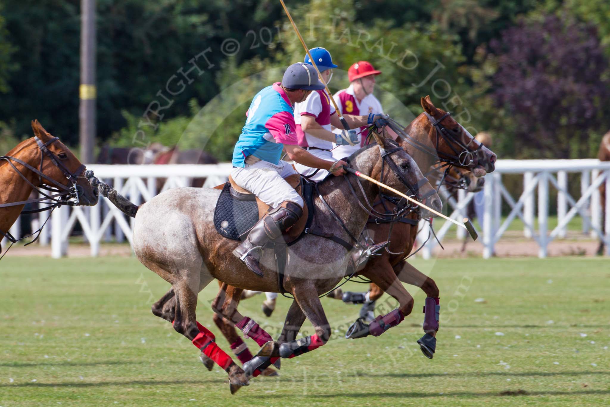 DBPC Polo in the Park 2013, Subsidiary Final Amaranther Trophy (0 Goal), Leadenham vs Kingsbridge.
Dallas Burston Polo Club, ,
Southam,
Warwickshire,
United Kingdom,
on 01 September 2013 at 10:57, image #79