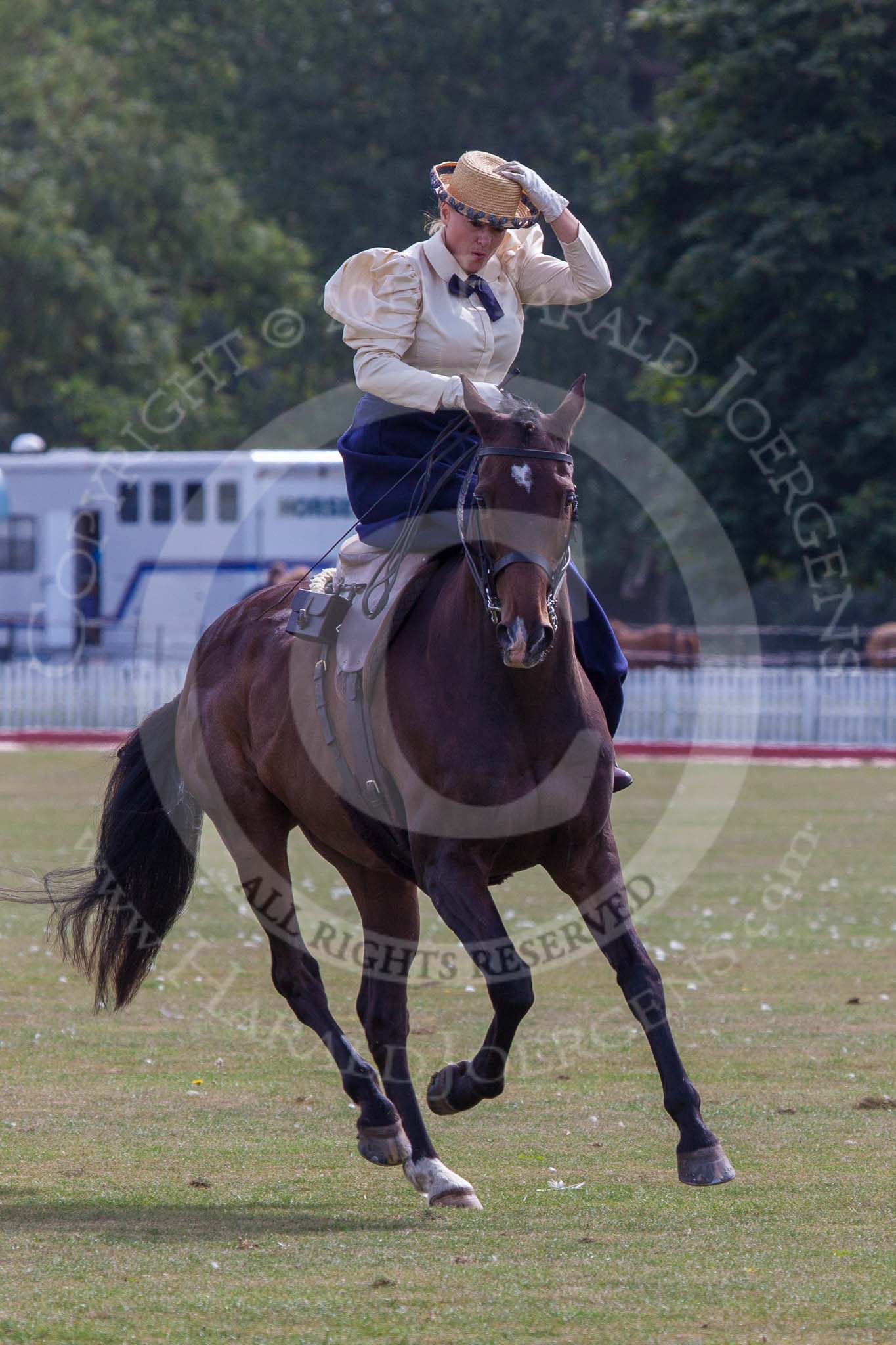 DBPC Polo in the Park 2013, side saddle riding demonstration by the The Side Saddle Association..
Dallas Burston Polo Club, ,
Southam,
Warwickshire,
United Kingdom,
on 01 September 2013 at 13:03, image #289