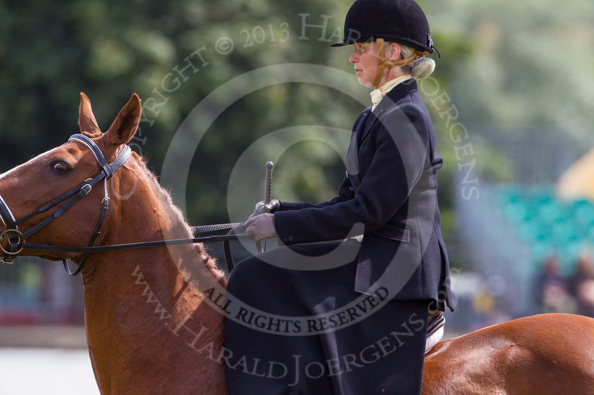 DBPC Polo in the Park 2013, side saddle riding demonstration by the The Side Saddle Association..
Dallas Burston Polo Club, ,
Southam,
Warwickshire,
United Kingdom,
on 01 September 2013 at 13:15, image #348