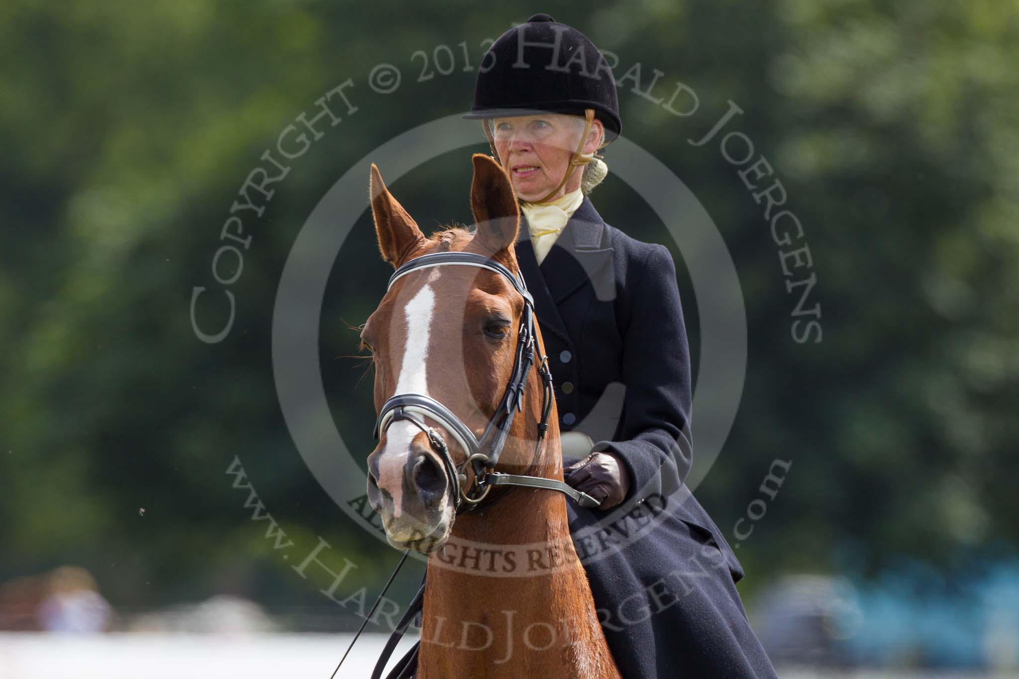 DBPC Polo in the Park 2013, side saddle riding demonstration by the The Side Saddle Association..
Dallas Burston Polo Club, ,
Southam,
Warwickshire,
United Kingdom,
on 01 September 2013 at 13:15, image #349
