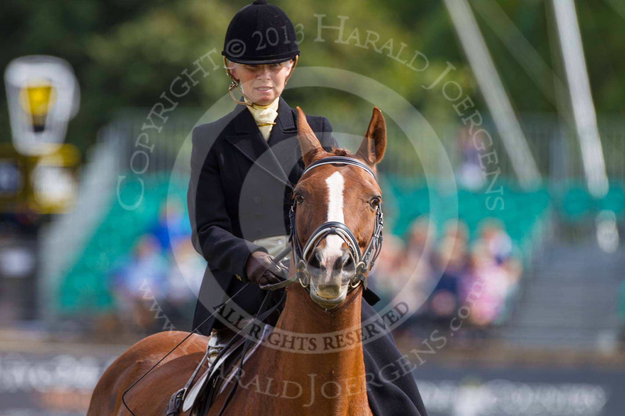 DBPC Polo in the Park 2013, side saddle riding demonstration by the The Side Saddle Association..
Dallas Burston Polo Club, ,
Southam,
Warwickshire,
United Kingdom,
on 01 September 2013 at 13:16, image #350