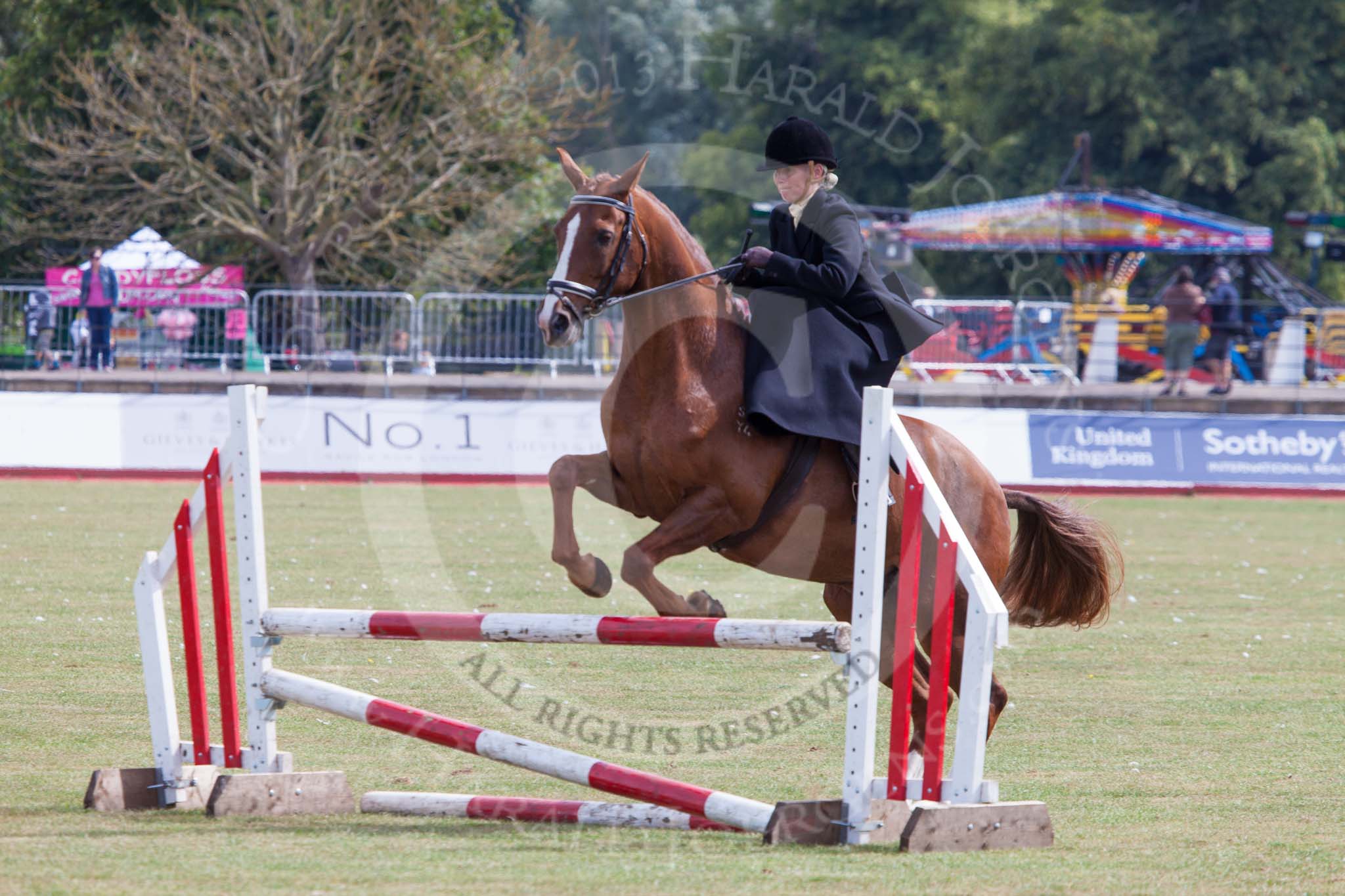 DBPC Polo in the Park 2013, side saddle riding demonstration by the The Side Saddle Association..
Dallas Burston Polo Club, ,
Southam,
Warwickshire,
United Kingdom,
on 01 September 2013 at 13:18, image #352