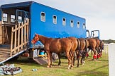 DBPC Polo in the Park 2013: A walk around the Stoneythorpe Estate in the morning of the event: Polo ponies just before the first mtch of the day..
Dallas Burston Polo Club, ,
Southam,
Warwickshire,
United Kingdom,
on 01 September 2013 at 09:44, image #12