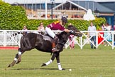DBPC Polo in the Park 2013, Final of the Amaranther Trophy (0 Goal), Bucking Broncos vs The Inn Team.
Dallas Burston Polo Club, ,
Southam,
Warwickshire,
United Kingdom,
on 01 September 2013 at 11:33, image #108