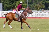 DBPC Polo in the Park 2013, Final of the Amaranther Trophy (0 Goal), Bucking Broncos vs The Inn Team.
Dallas Burston Polo Club, ,
Southam,
Warwickshire,
United Kingdom,
on 01 September 2013 at 11:42, image #123