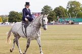 DBPC Polo in the Park 2013, side saddle riding demonstration by the The Side Saddle Association..
Dallas Burston Polo Club, ,
Southam,
Warwickshire,
United Kingdom,
on 01 September 2013 at 12:53, image #242