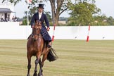 DBPC Polo in the Park 2013, side saddle riding demonstration by the The Side Saddle Association..
Dallas Burston Polo Club, ,
Southam,
Warwickshire,
United Kingdom,
on 01 September 2013 at 12:54, image #243