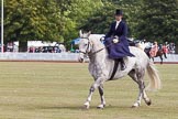 DBPC Polo in the Park 2013, side saddle riding demonstration by the The Side Saddle Association..
Dallas Burston Polo Club, ,
Southam,
Warwickshire,
United Kingdom,
on 01 September 2013 at 12:54, image #246