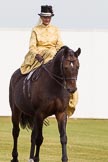 DBPC Polo in the Park 2013, side saddle riding demonstration by the The Side Saddle Association..
Dallas Burston Polo Club, ,
Southam,
Warwickshire,
United Kingdom,
on 01 September 2013 at 12:55, image #254