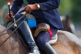DBPC Polo in the Park 2013, side saddle riding demonstration by the The Side Saddle Association..
Dallas Burston Polo Club, ,
Southam,
Warwickshire,
United Kingdom,
on 01 September 2013 at 12:58, image #259