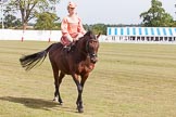 DBPC Polo in the Park 2013, side saddle riding demonstration by the The Side Saddle Association..
Dallas Burston Polo Club, ,
Southam,
Warwickshire,
United Kingdom,
on 01 September 2013 at 13:05, image #309
