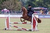 DBPC Polo in the Park 2013, side saddle riding demonstration by the The Side Saddle Association..
Dallas Burston Polo Club, ,
Southam,
Warwickshire,
United Kingdom,
on 01 September 2013 at 13:18, image #352